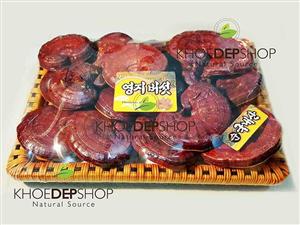 Nấm linh chi đỏ Hàn Quốc